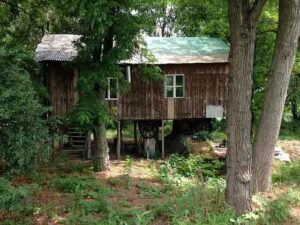 une cabane dans la forêt : peut on avoir un permis de construire ?